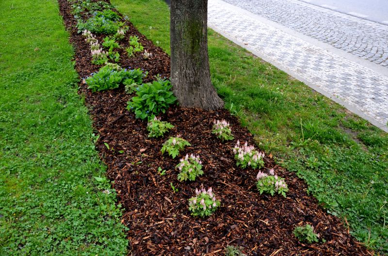 Mulched Landscape Beds