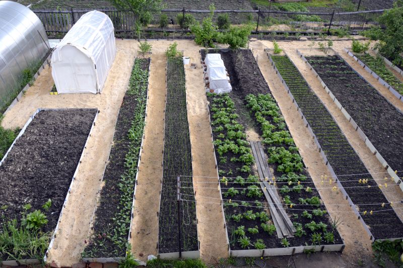 Vegetable Garden Beds